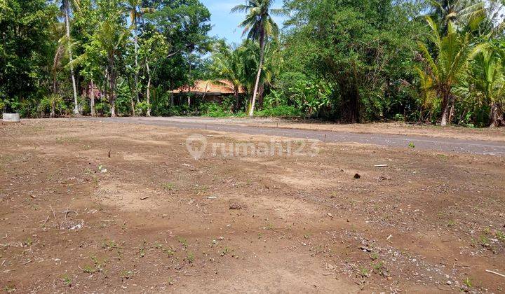 Tanah Kavling Bogor Utara, Legalitas SHM Cocok Bangun Hunian 2