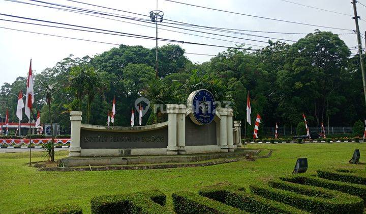 Tanah Kavling Murah SHM Dekat Kampus Ipb Cocok Untuk Invest 1