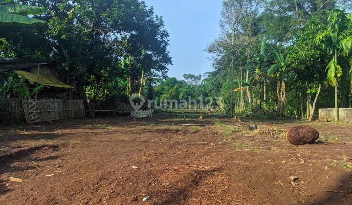 Tanah Kaveling Rumpin Cicilan 12x Bunga 0%, 25 Menit Terminal Rumpin  2