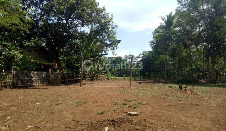 Dijual Tanah Kavling Murah Free SHM 12,4 Km Menuju Universitas Ibnu Khaldun Bogor 2
