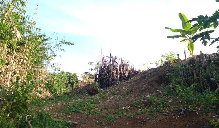 Dijual Murah Tanah Kavling Lokasi Kota Bogor, 5 Menit Tol Borr Yasmin