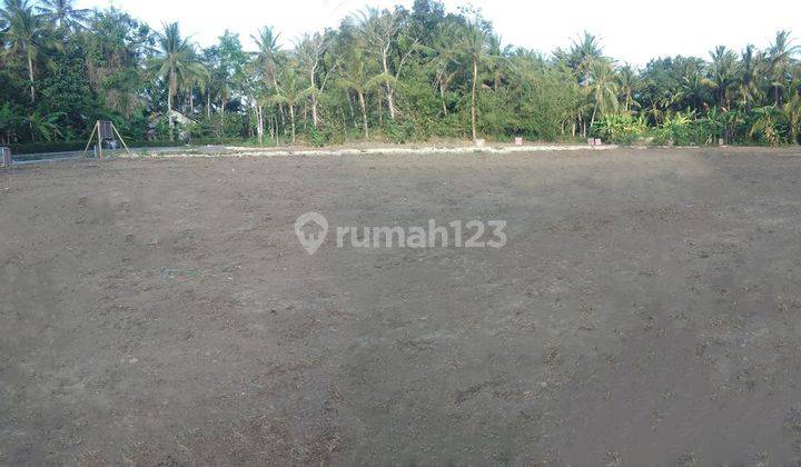 Tanah Kavling Murah Free SHM Lokasi Cijeruk Bogor 2