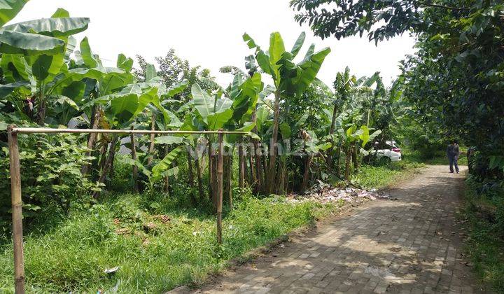 Dekat Stasiun Pondok Rajeg, Tanah Kavling SHM Cocok Untuk Invest 2