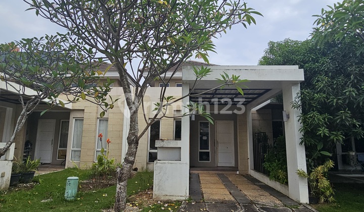 Orchard Park 1Lt Full Renov Belakang 1
