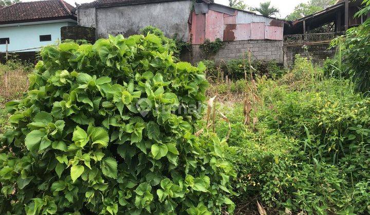 TOP URGENT FOR SALE LAND LOCATION CANGGU KUTA UTARA BADUNG
 1