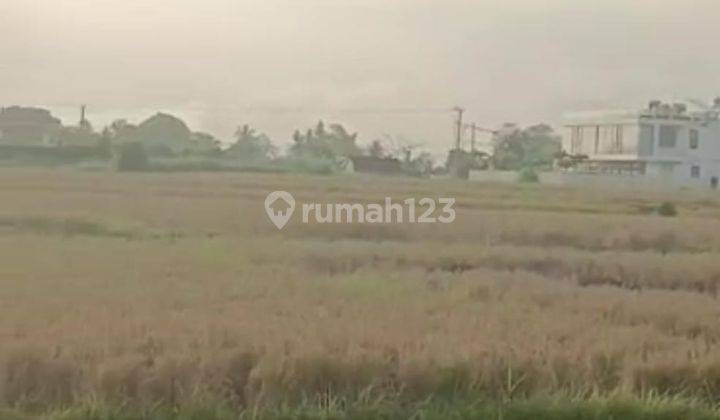 Hot List of Land for Sale with Rice Field View, Kedungu Tabanan Location 1