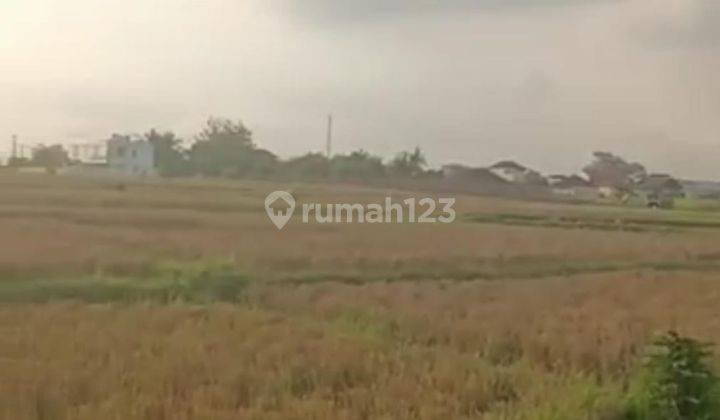 Hot List of Land for Sale with Rice Field View, Kedungu Tabanan Location 2