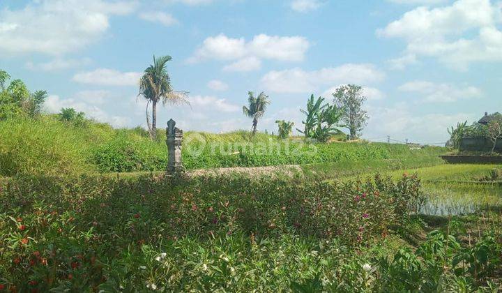 Hot List Di Jual Tanah View Sungai Sawah Lokasi Kaba Kaba Kediri Tabanan 1