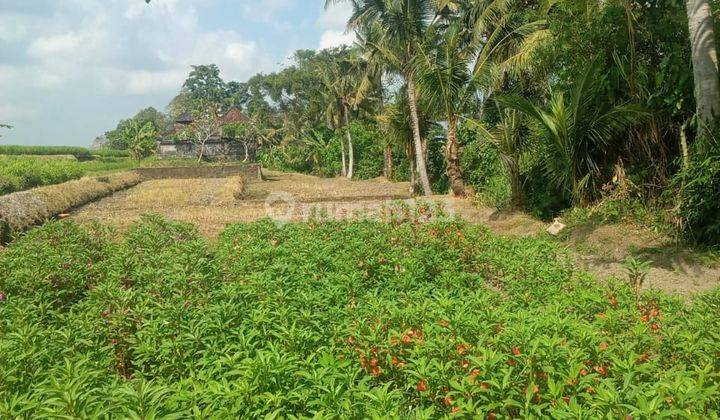 Hot List Di Jual Tanah View Sungai Sawah Lokasi Kaba Kaba Kediri Tabanan 2