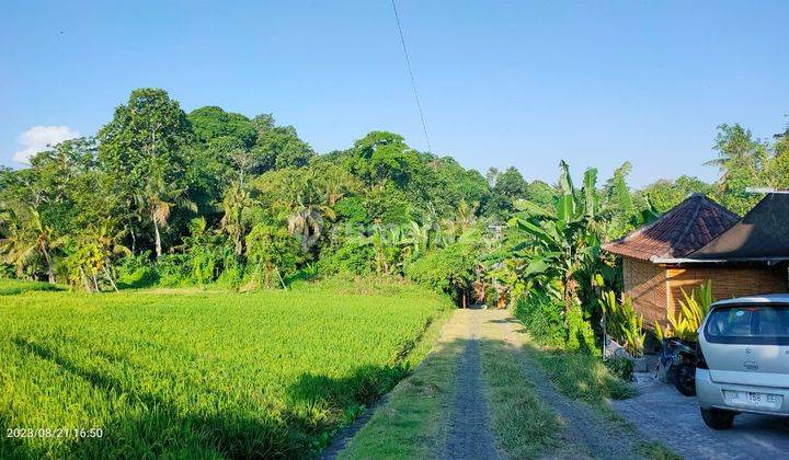 Hot List Di Jual Tanah View Sawah Lokasi Nyanyi Beraban Kediri Tabanan 2