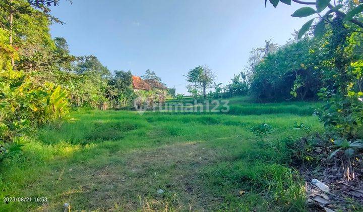 Hot List Di Jual Tanah View Sawah Lokasi Nyanyi Beraban Kediri Tabanan 1