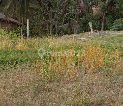 Hot List of Land for Sale with Mountain Rice Field View, Kaba Kaba Kediri Tabanan Location 2