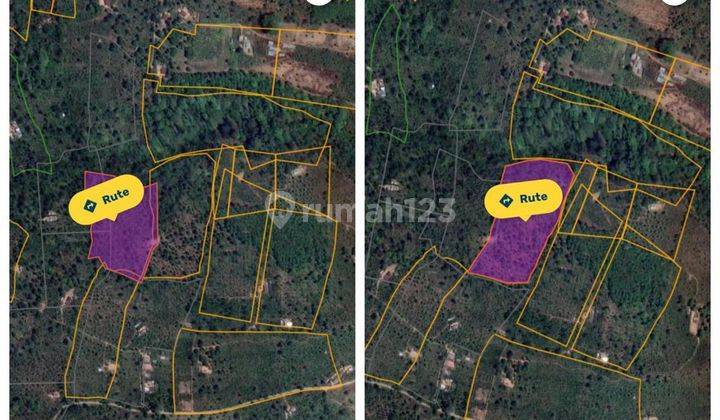 Hot List of Land for Sale in Gesing Munduk Singaraja Location  1