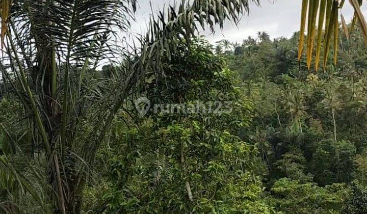 Hot List Land for sale in Taro Tegallalang Ubud Gianyar  2