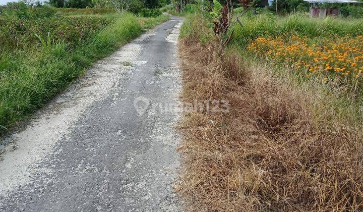 Hot List Di Jual Tanah View Sawah Lokasi Sibang Mengwi Badung  2