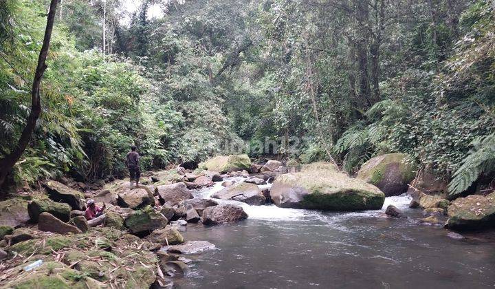 Hot List Di Jual Tanah View Hutan Dan Sungai Lokasi Cau Blayu Tabanan  1