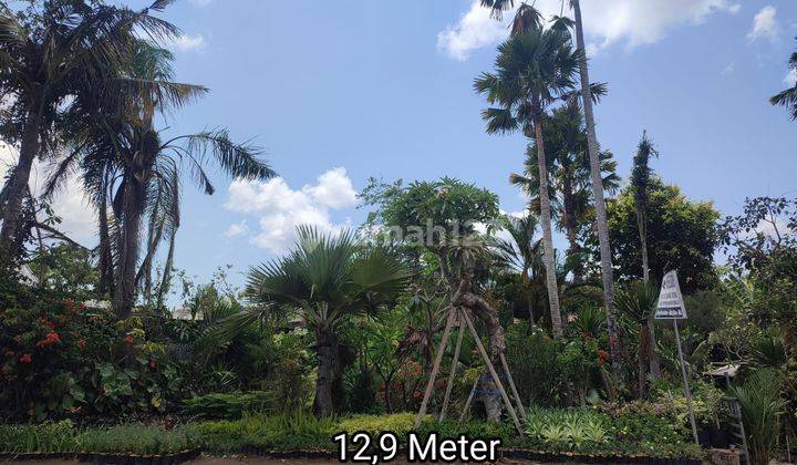 Hot List For Sale Land Plots Location Kerobokan 1