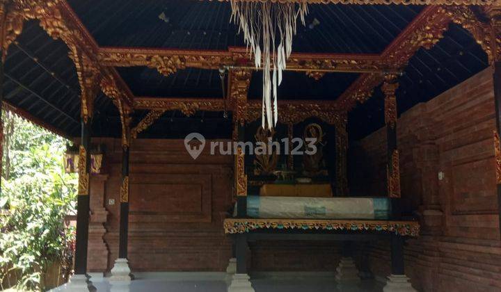 Hot List Di Jual Tanah Bonus Bangunan Rumah Lokasi Nyambu Kaba Kaba Tabanan 2