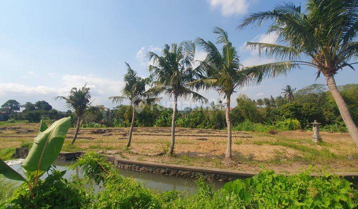 Hot List of Land for Sale in the Kedungu Tanah Lot Tabanan location 1