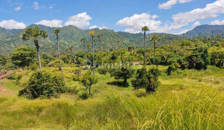 Hot List Di Jual Tanah Kawasan Villa Lokasi Amed Karang Asem Bali 1