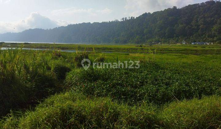 Hot List Di Jual Tanah Los Danau View Tower Duryupada Lokasi Suka Sada Pancasari Buleleng 1