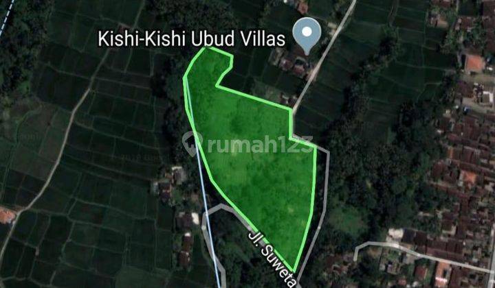 Hot List of Premium Rice Field View Land for Sale, Suweta Ubud Gianyar Location 1