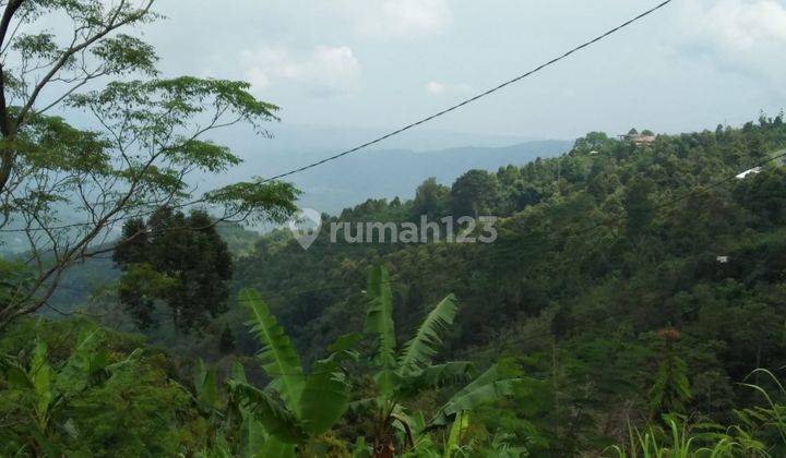 Hot List of Land for Sale with Exotic Views of the Valley and Sea, Munduk Tamblingan Buleleng Location 2