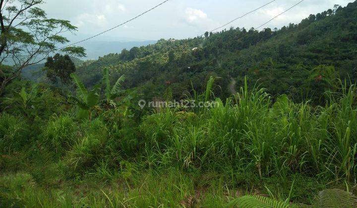 Hot List of Land for Sale with Exotic Views of the Valley and Sea, Munduk Tamblingan Buleleng Location 1