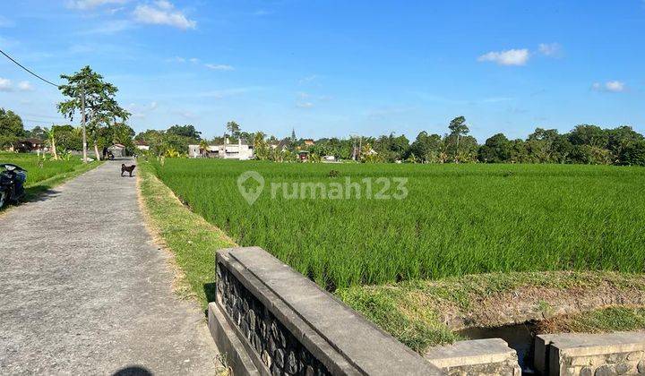 Hot List Di Jual Tanah Strategis View Sawah Gunung Dan Laut Lokasi Kedungu Tabanan Bali 2