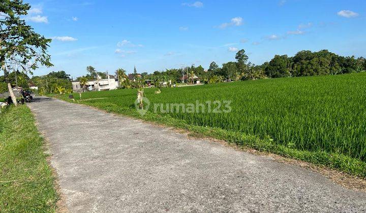 Hot List Di Jual Tanah Strategis View Sawah Gunung Dan Laut Lokasi Kedungu Tabanan Bali 1