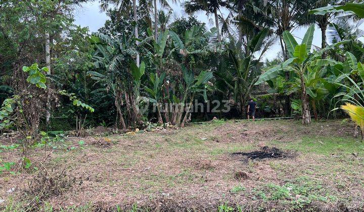 Hot List Di Jual Tanah Lokasi Pancoran Gianyar Kota Gianyar Bali 2