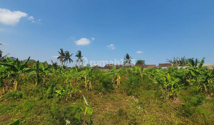 Hot List of Land for Sale in Kedungu, Tabanan 1