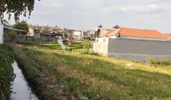 Hot List Di Jual Tanah View Sawah Lokasi Tibubeneng Canggu Kuta Utara 2