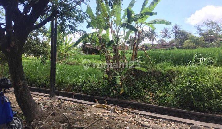 Hot List Di Jual Tanah Lokasi Tulikup Gianyar 2