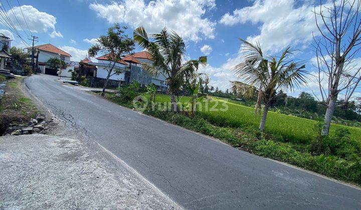 Hot List Di Jual Tanah Pinggir Jalan Utama Lokasi Nyanyi Beraban Kediri Tabanan Bali 1