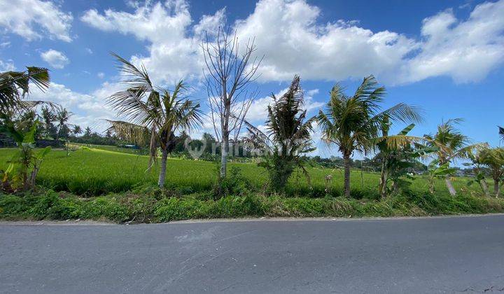 Hot List Di Jual Tanah Pinggir Jalan Utama Lokasi Nyanyi Beraban Kediri Tabanan Bali 2