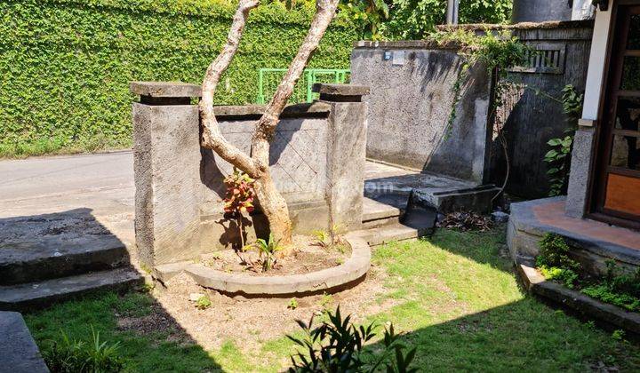 Hot List Di Jual Tanah Bonus Bangunan Rumah Lokasi Sanur Denpasar Selatan  1