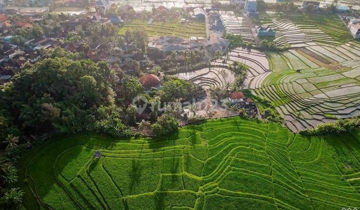 Hot List Land for sale in Tumbak Bayuk Canggu Badung 1