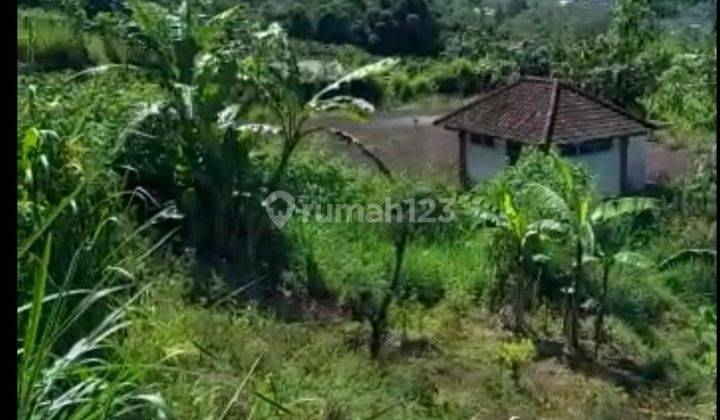 Hot List of land for sale on the main road, Jalan Penelokan, Kintamani Bangli 1