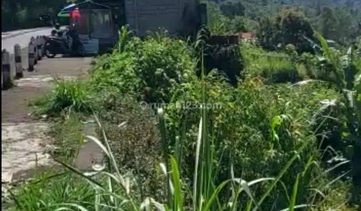 Hot List of land for sale on the main road, Jalan Penelokan, Kintamani Bangli 2