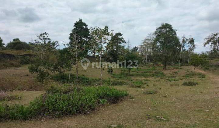 Hot List of Land for Sale, Tebing, Sea View, Pecatu, South Kuta, Badung 1