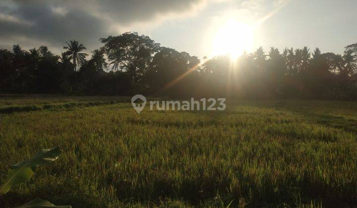 Hot List of Land for Sale in Petulu Ubud Gianyar Location  2