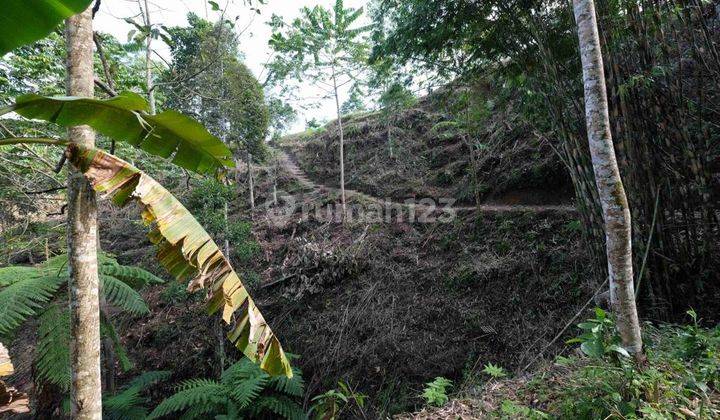 Hot List Land for sale in Payangan Ubud Gianyar 2