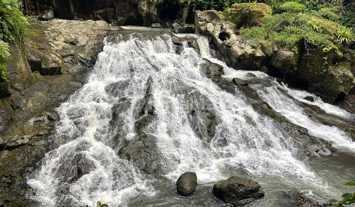 Hot List Di Jual Tanah View Air Terjun Lokasi Bakbakan Ubud Gianyar 2