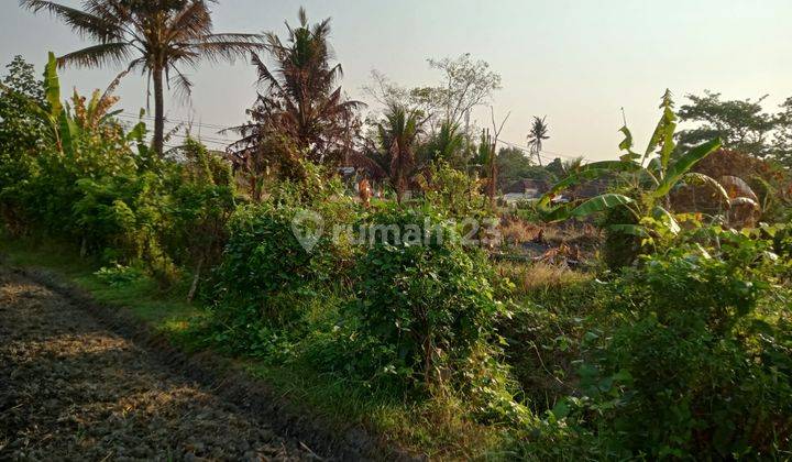 Hot List Di Jual Tanah Pinggir Jalan Utama View Sawah Lokasi Singapadu Sukawati Gianyar 2