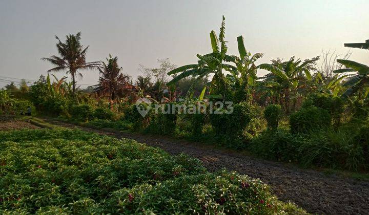 Hot List Di Jual Tanah Pinggir Jalan Utama View Sawah Lokasi Singapadu Sukawati Gianyar 1