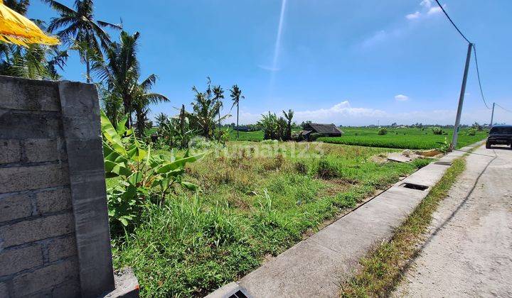 Hot List Di Jual Tanah View Sawah Sunset Lokasi Nyanyi Beraban Kediri Tabanan  2