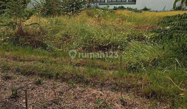 Hot List Di Jual Tanah View Sawah Lokasi Tumbak Bayuh Pererenan Canggu 1