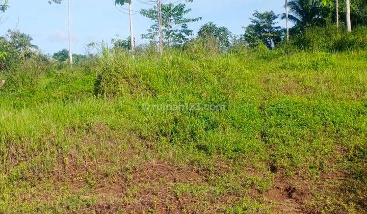 Hot List Di Jual Tanah View Sungai Lokasi Gadungan Selemadeg Timur Tabanan 1