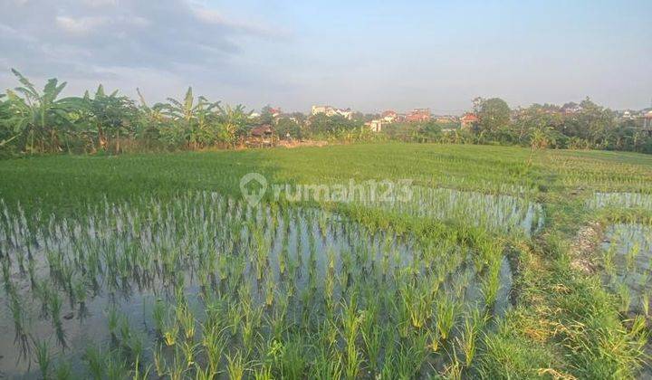 Hot List of land for sale in Brawa Canggu, North Kuta 1